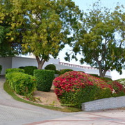 DSC-0125