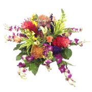 flowers-spring-zpse15f72f1