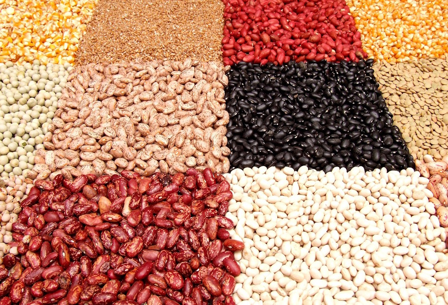 Pulses and soils: a dynamic duo Pulses and soils: a dynamic duo