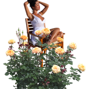 0-8f3f6-9334cf87-orig