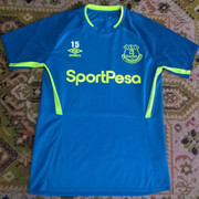everton-train-15