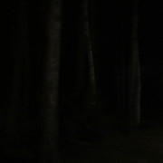 yahonty-dark-06