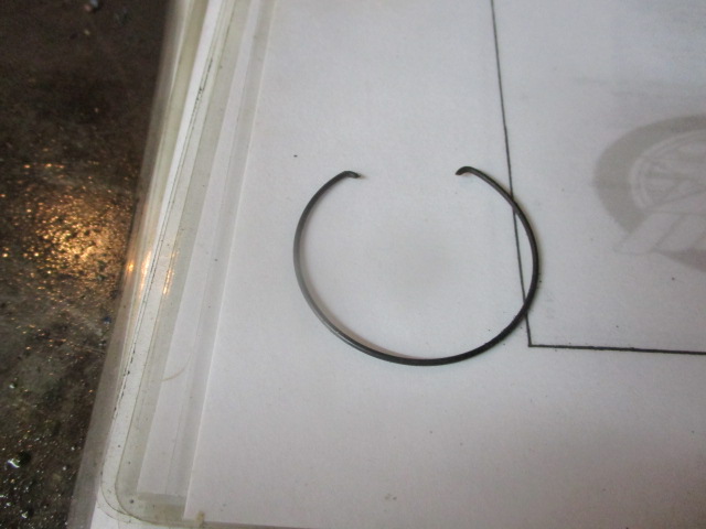 IMG-9151.jpg