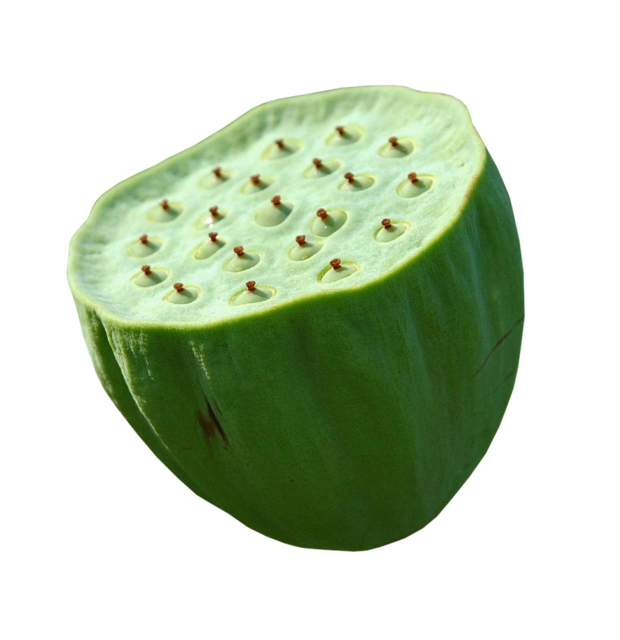 fruit
