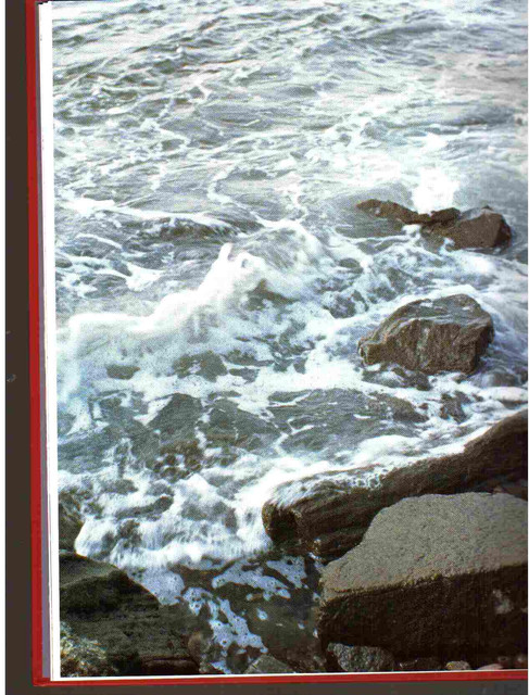 Page-00024.jpg