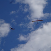 DSC00697