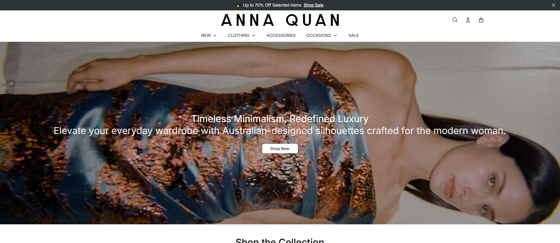 Stored capture of annaquanstudio.shop