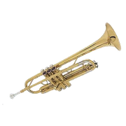 66
