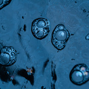 L1030295