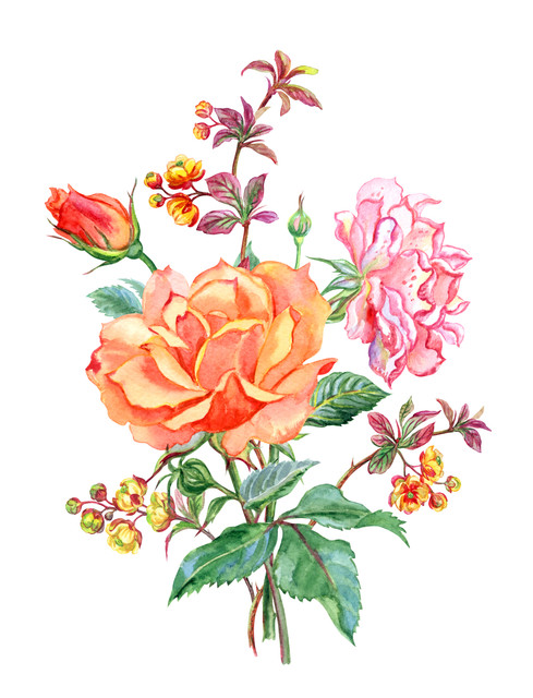 shutterstock 1190894389.jpg