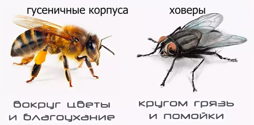 1000003187.png