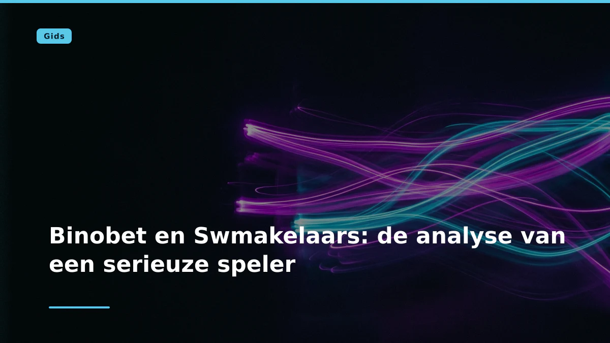 Binobet en Swmakelaars: de analyse van een serieuze speler