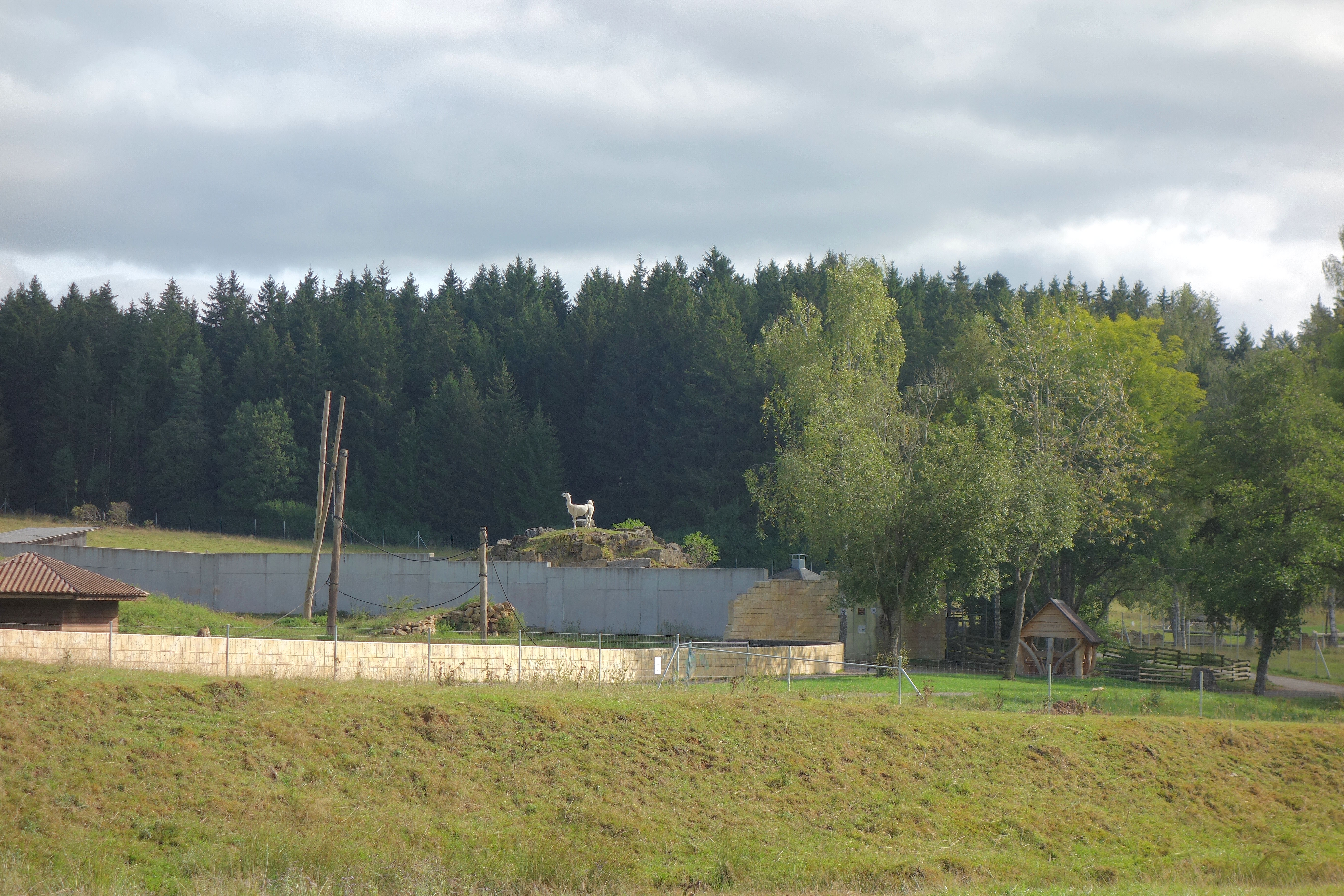 DSC09199