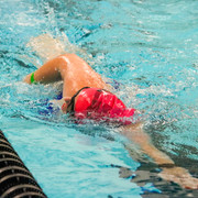 IMG-0512
