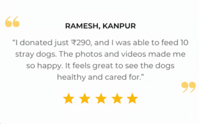 Dog-Food-Google-Review