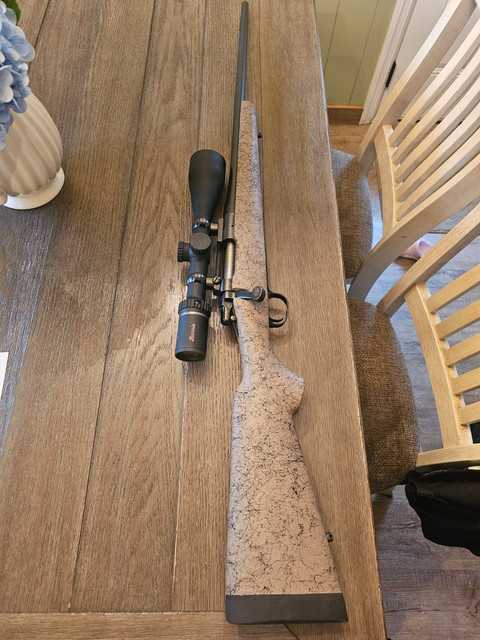 260.jpg