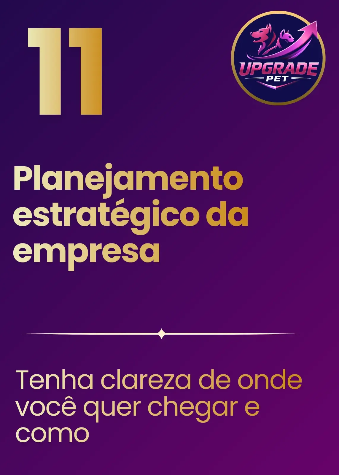 Imagem 11