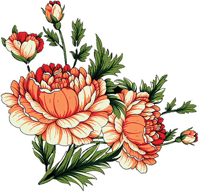 Layer 13 (4).png