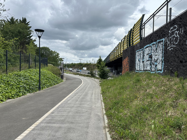 IMG-3811