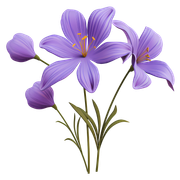 01-903
