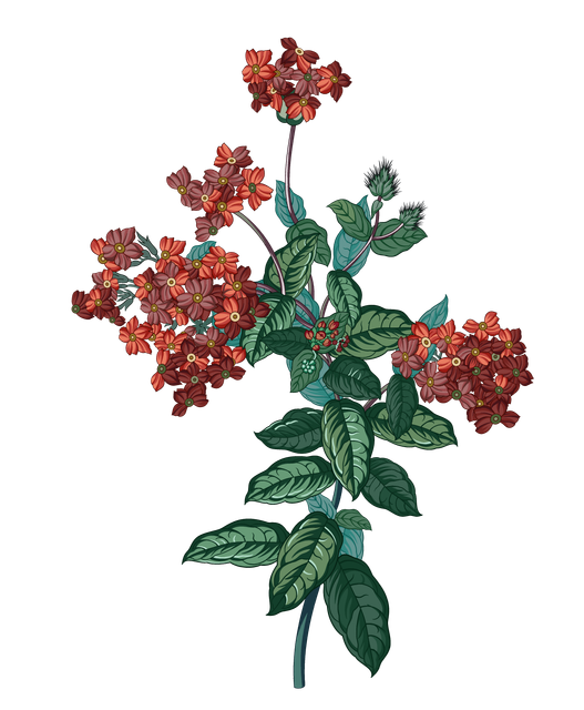 189.png