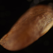 DSC01639