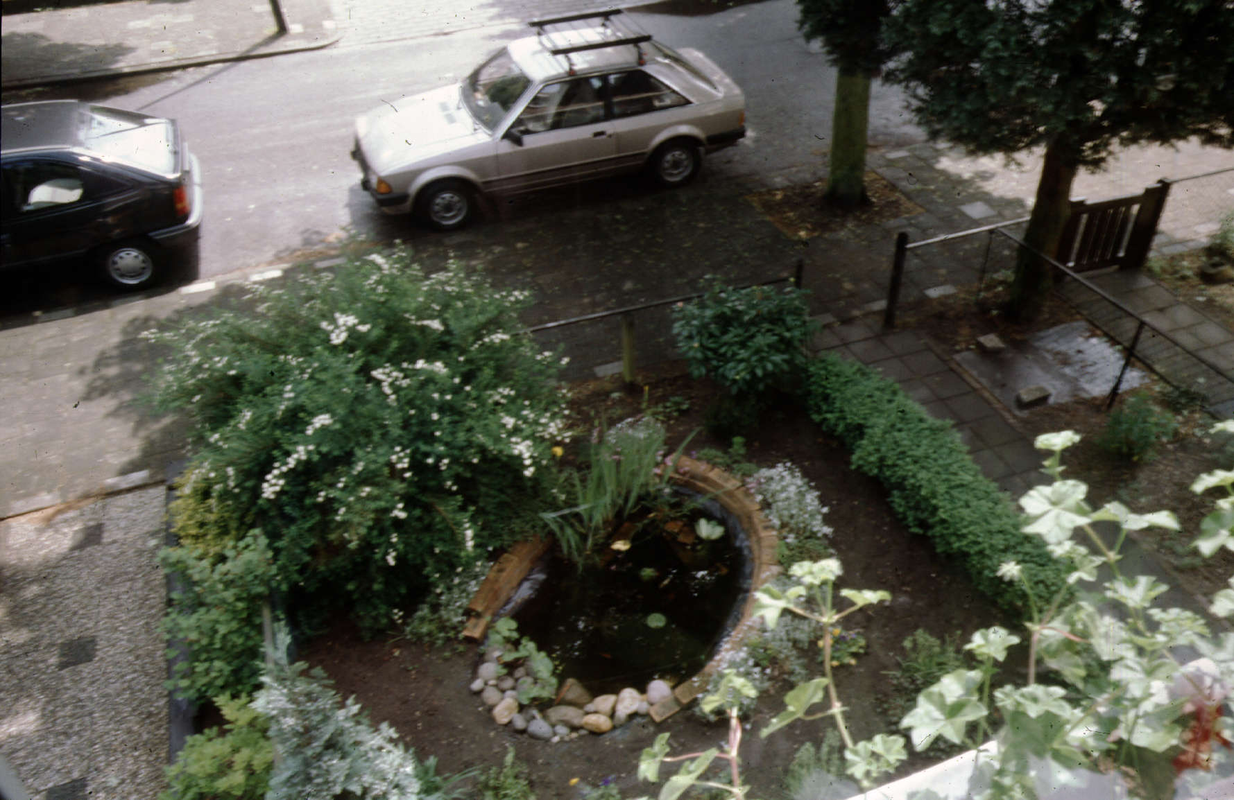 image001.jpg
