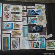 IMG-3128