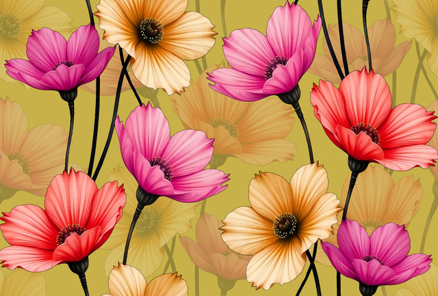 Pixal Que Free images no limits 21.jpg