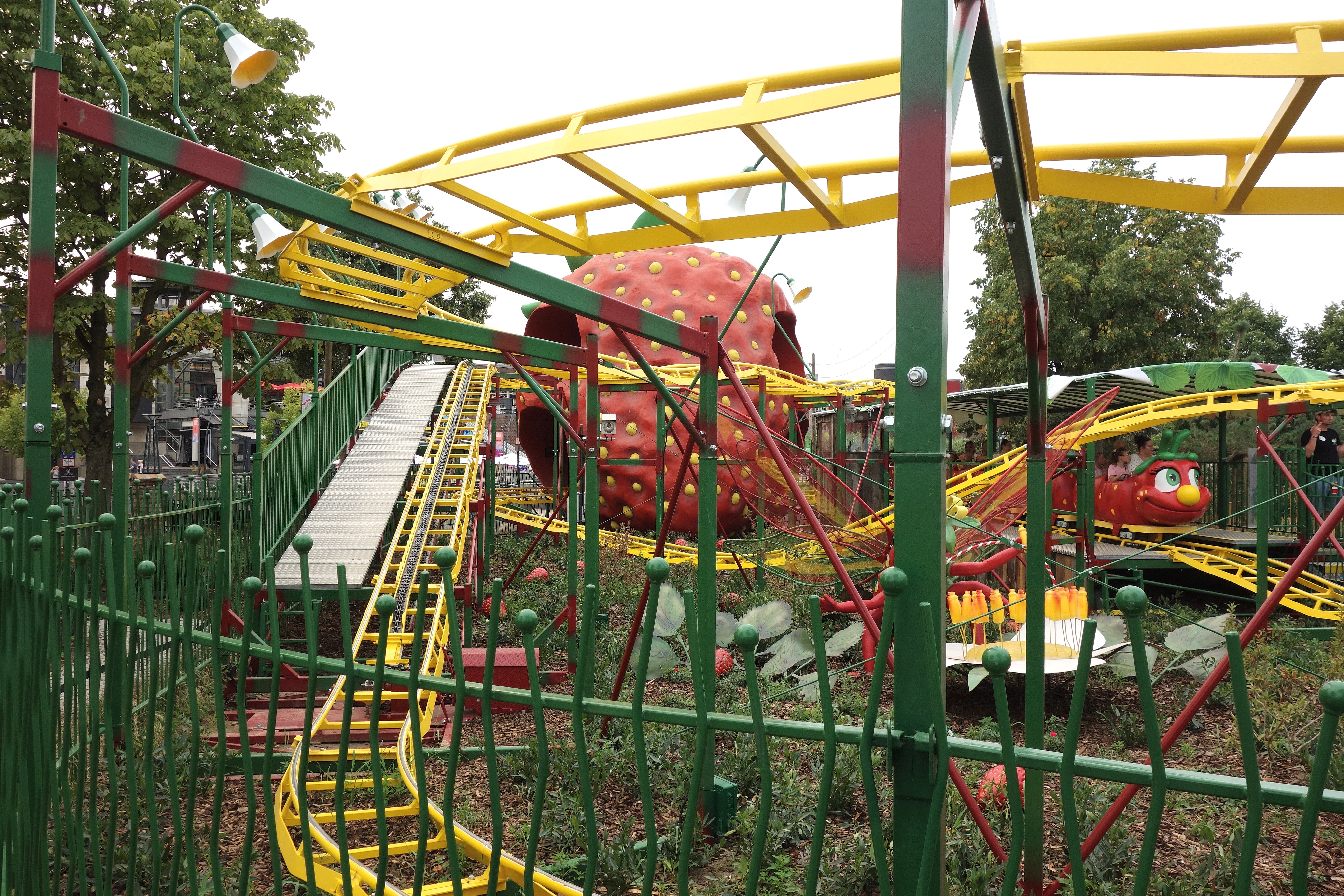 DSC04519