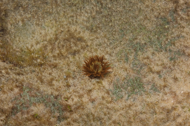 DSCF8593.jpg