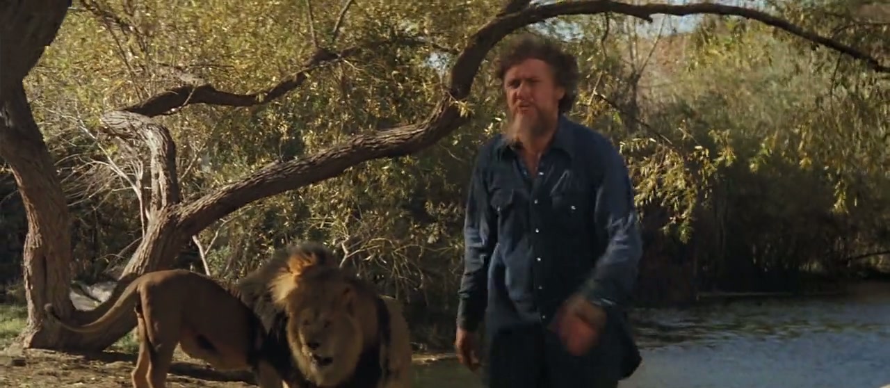 Roar Screenshot