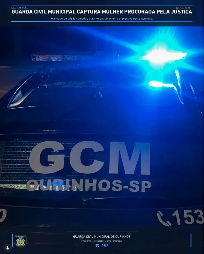 Sem Título