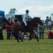 DSC05384