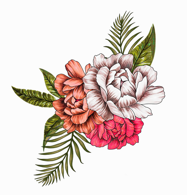 shutterstock 1997699258.jpg