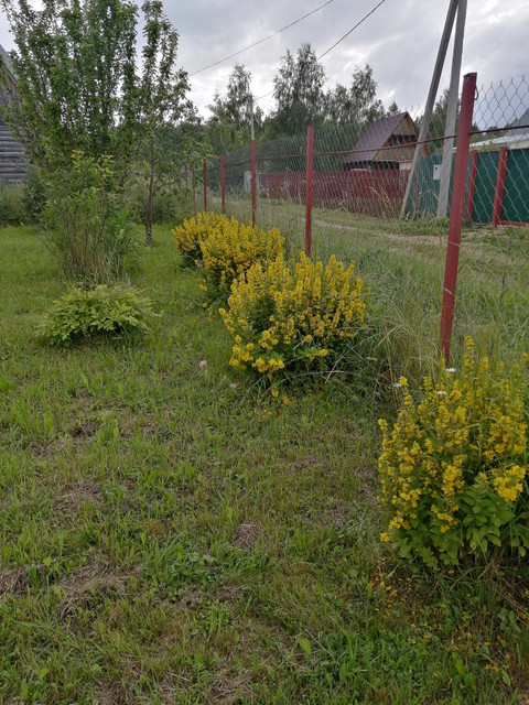 sdr
