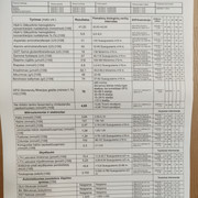 IMG 20260822 085749