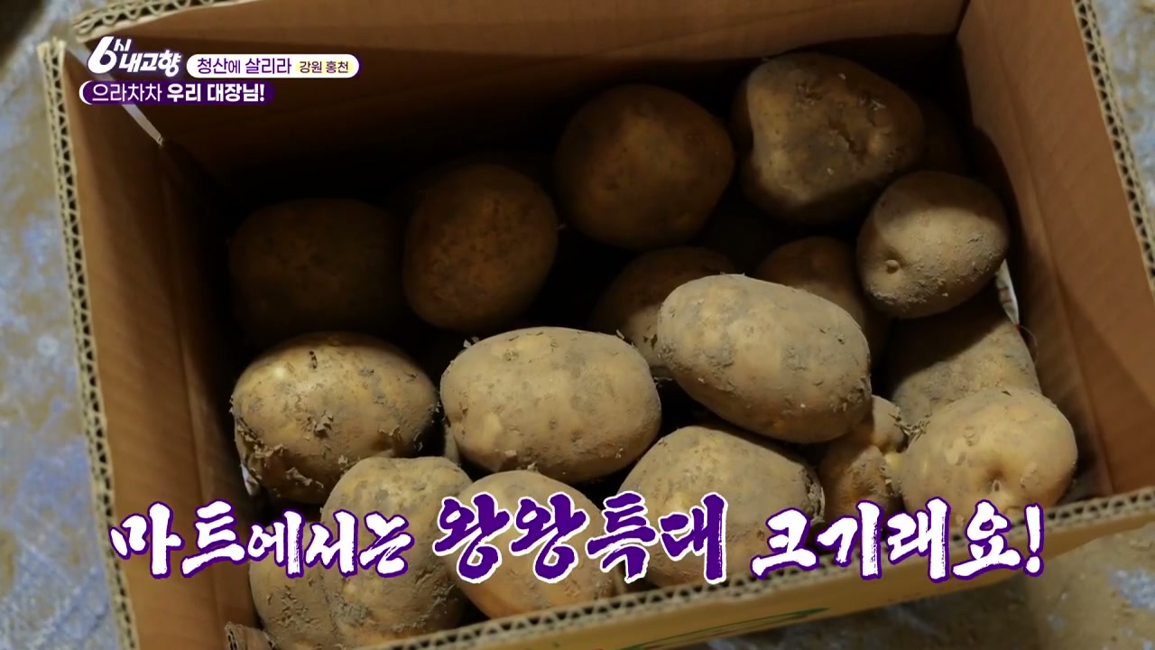 6시내고향 청산에 살리라 홍천 감자 추가 캡처 1