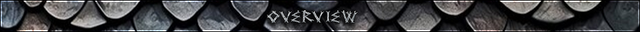 Draconic annals headers middle overview