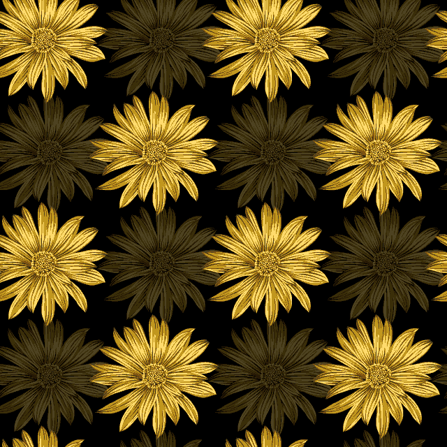 1585db262ef2689cac1239fb8aa98dec.gif