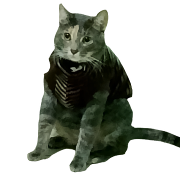bonnie amasable