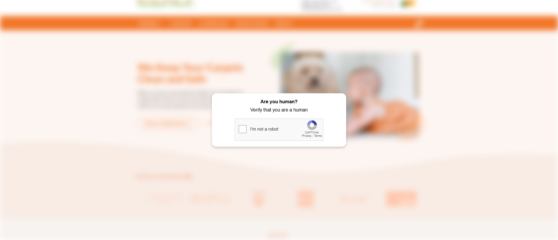 Forensic screenshot of [REDACTED] showing the phishing page layout