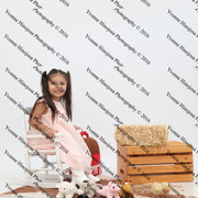 IMG 0941