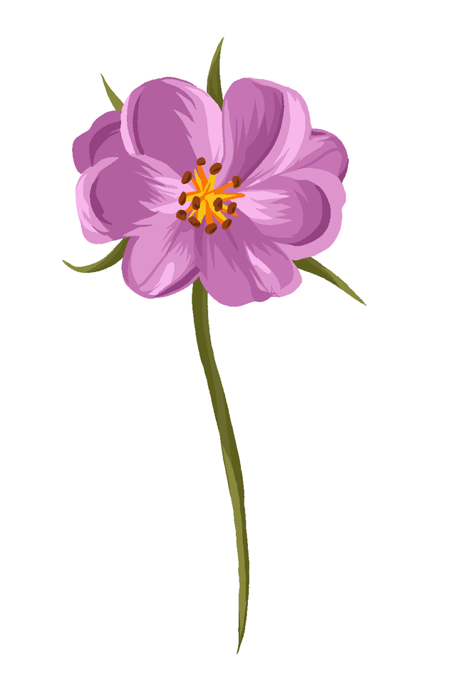 New.png
