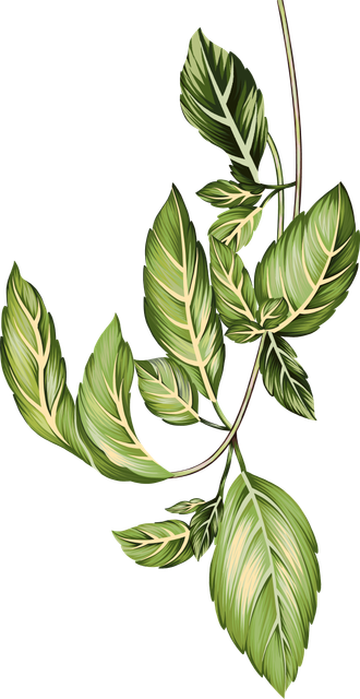 f6eedff1b8c59c6461ec4ece69240f29.png