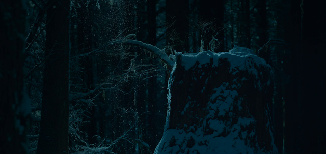 frame7