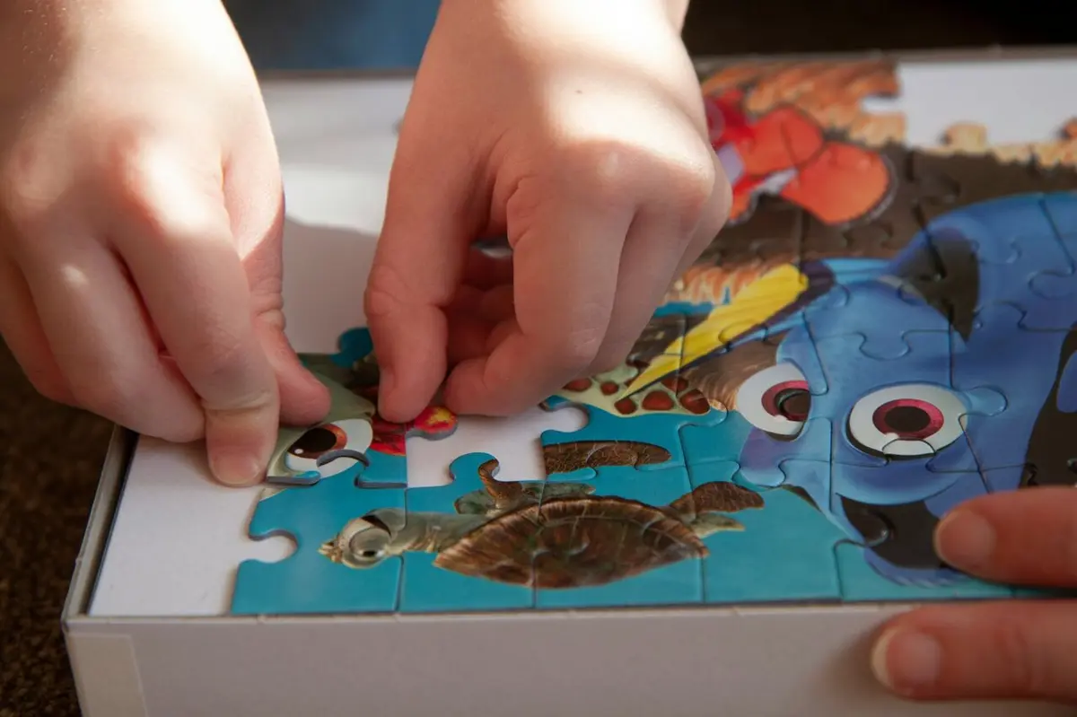 Child's Environment Influences Problem-Solving Skills in Brain Development
