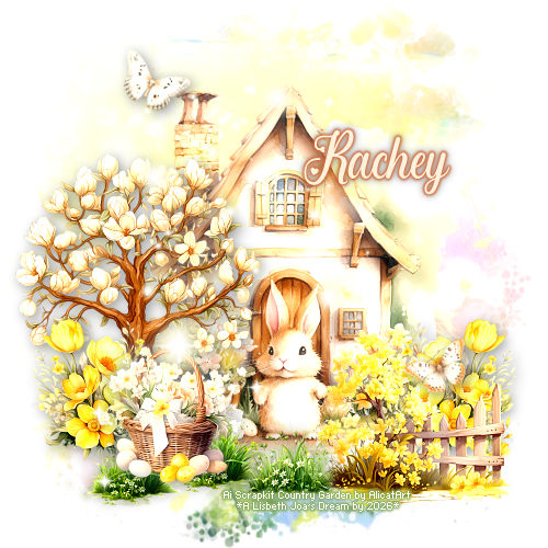 Rachey 94ºBanner.png