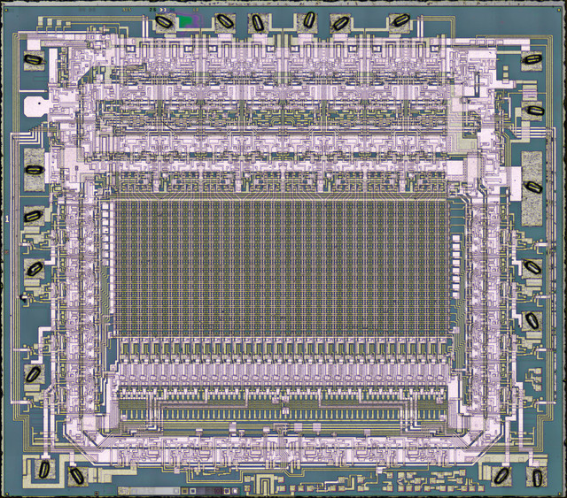 1556-8.jpg