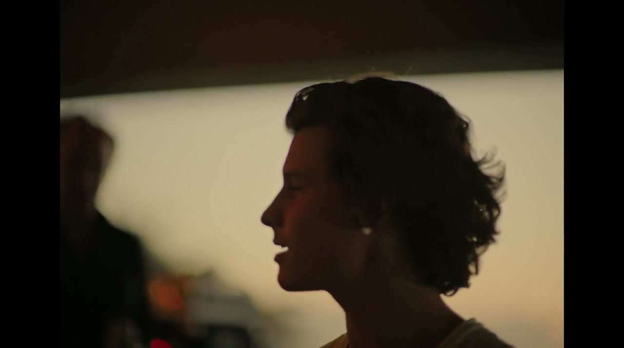 Shawn Mendes: In Wonder Screenshot